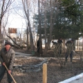 The ecological behavior starts from the back yard