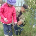 «Plant a tree and life will go on» 